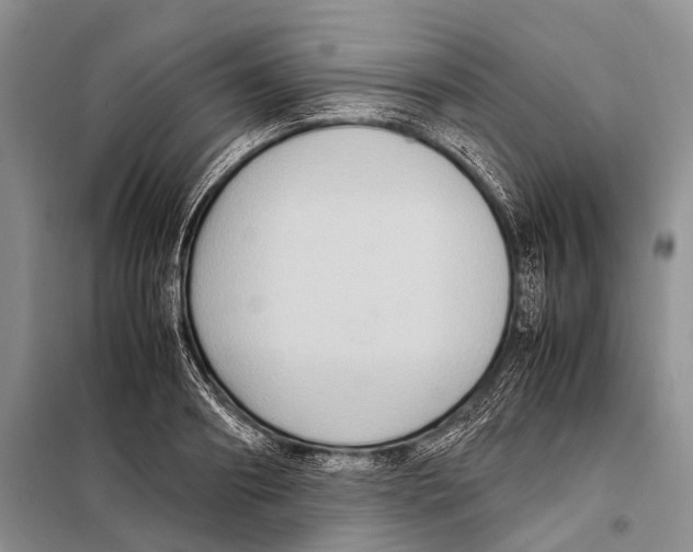 X0000097880890200804110948