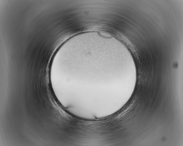 X0000097880892200804110948