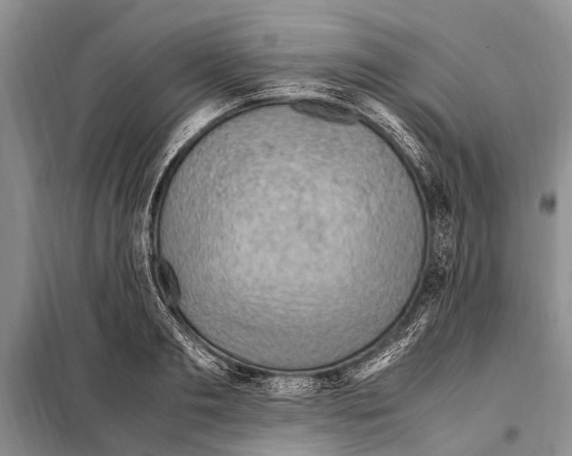 X0000097880893200804110947