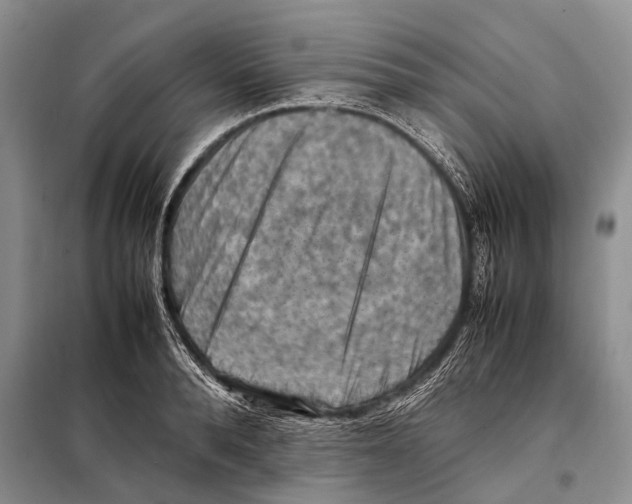 X0000097880896200804110947