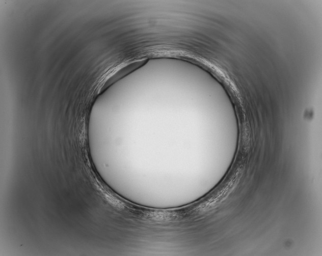 X0000097880897200804110947