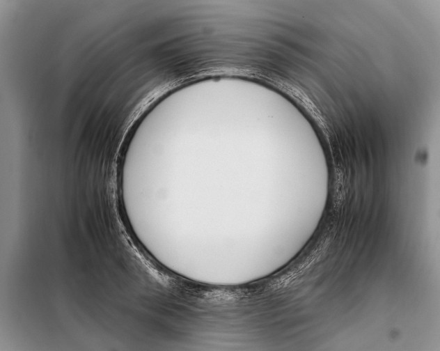 X0000097880898200804110947