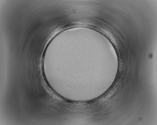 X0000097880899200804110947