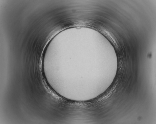 X0000097880900200804110947