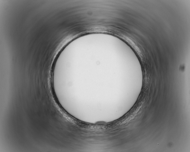 X0000097880901200804110947