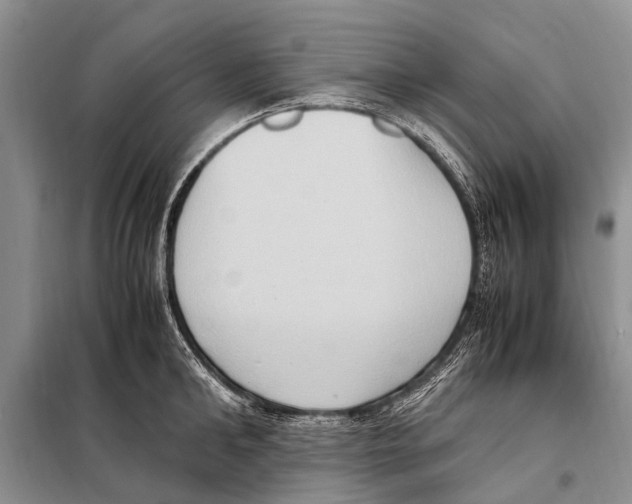 X0000097880902200804110947