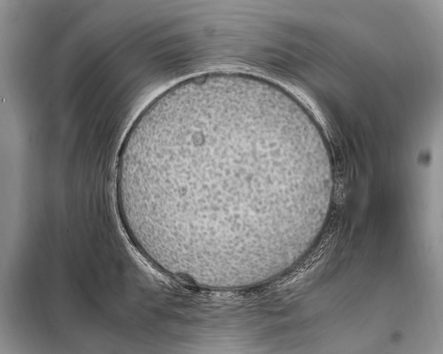 X0000097880903200804110947