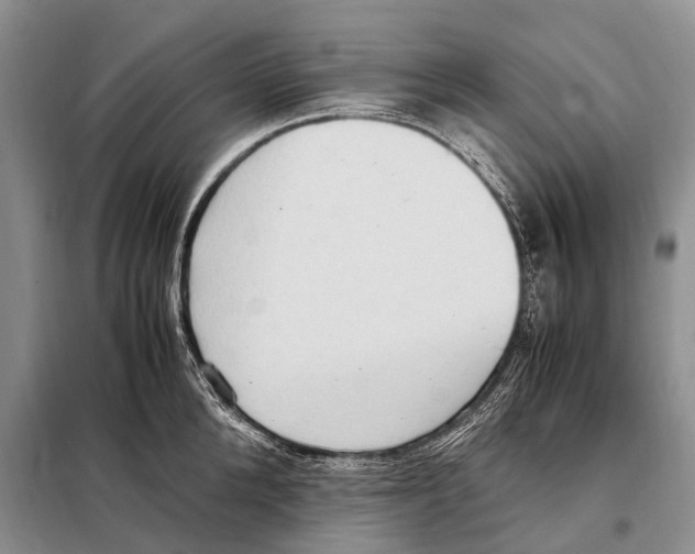 X0000097880904200804110947