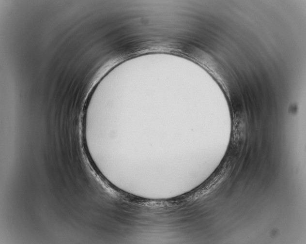 X0000097880906200804110947