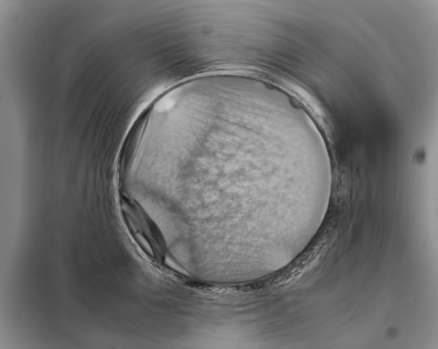 X0000097880907200804110947