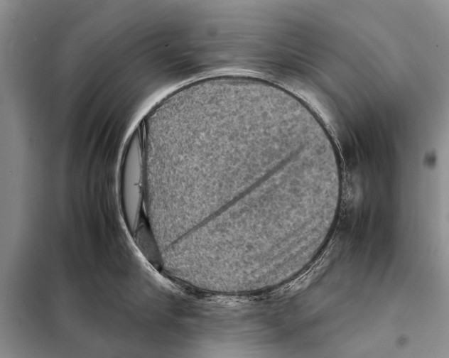 X0000097880910200804110947