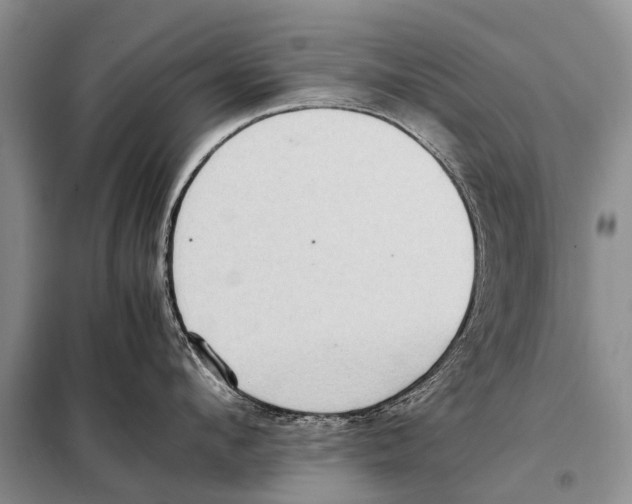 X0000097880912200804110947