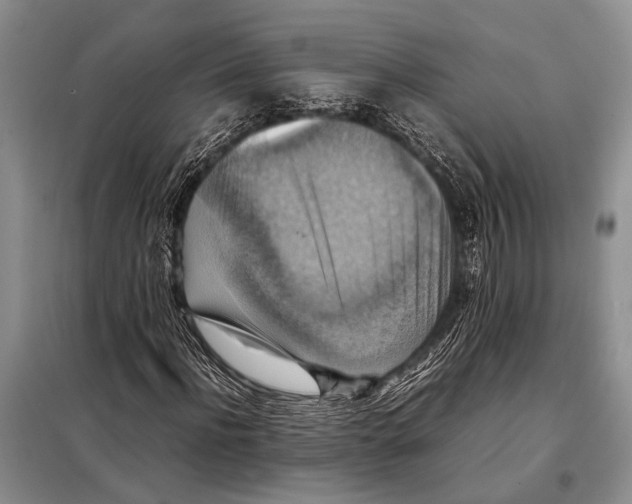 X0000097880916200804110946