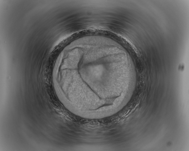 X0000097880919200804110946