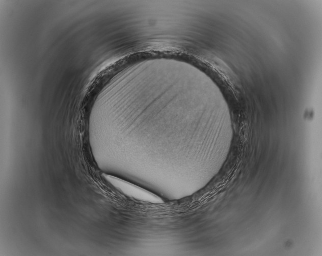 X0000097880920200804110946