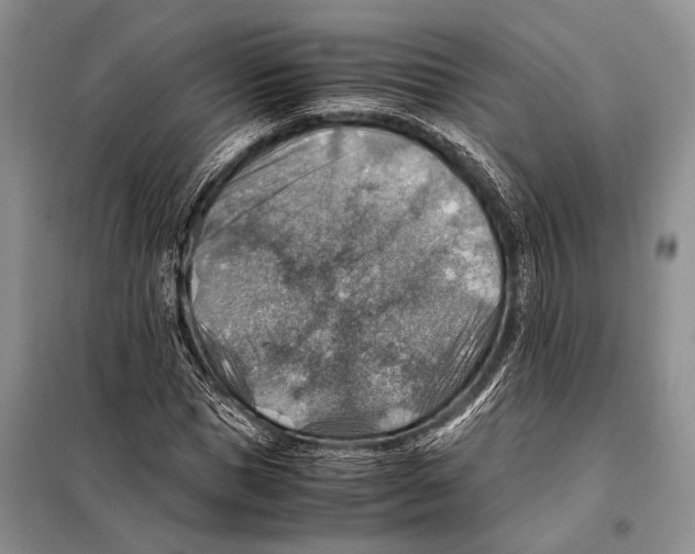 X0000097880921200804110946