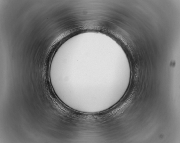 X0000097880922200804110946