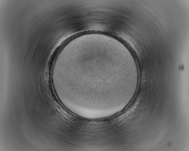 X0000097880923200804110946