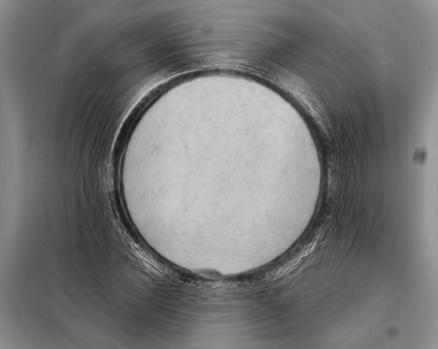 X0000097880924200804110946