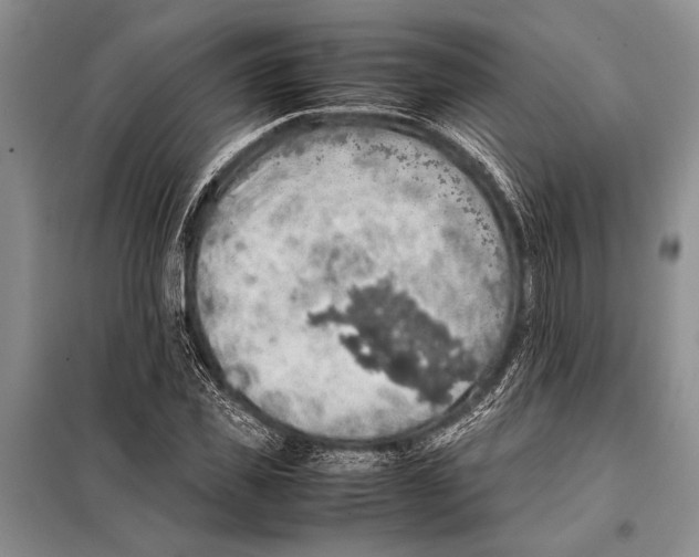 X0000097880925200804110946