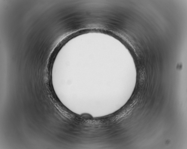 X0000097880927200804110946