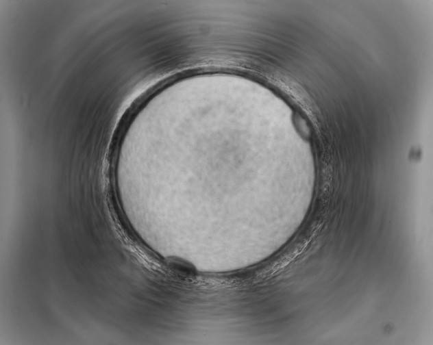 X0000097880928200804110946