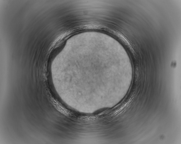 X0000097880930200804110947