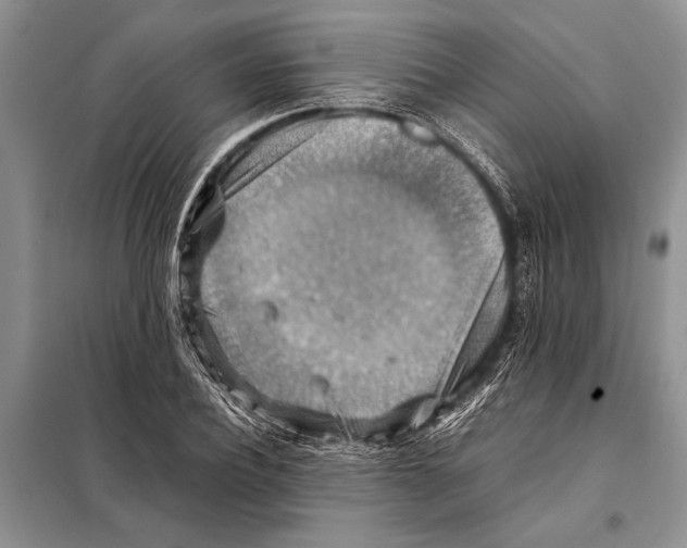 X0000097880932200804110947