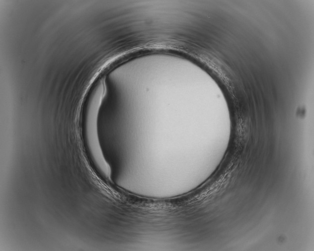 X0000097880934200804110947