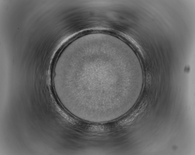 X0000097880935200804110947