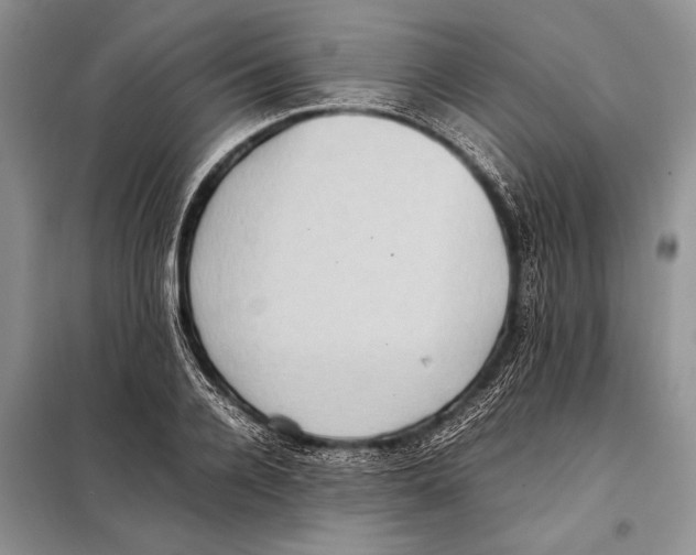 X0000097880936200804110947