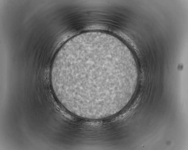 X0000097880937200804110947