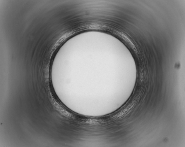 X0000097880938200804110947