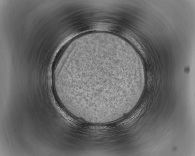 X0000097880939200804110947