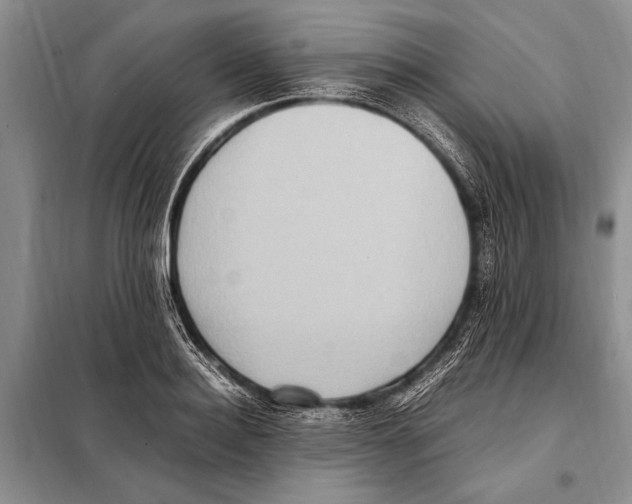 X0000097880940200804110947