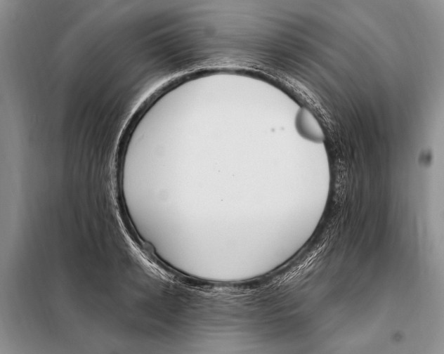 X0000097880942200804110947