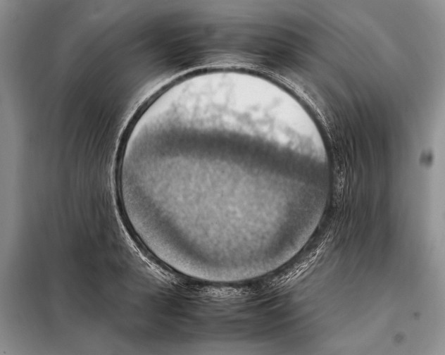 X0000097880943200804110947