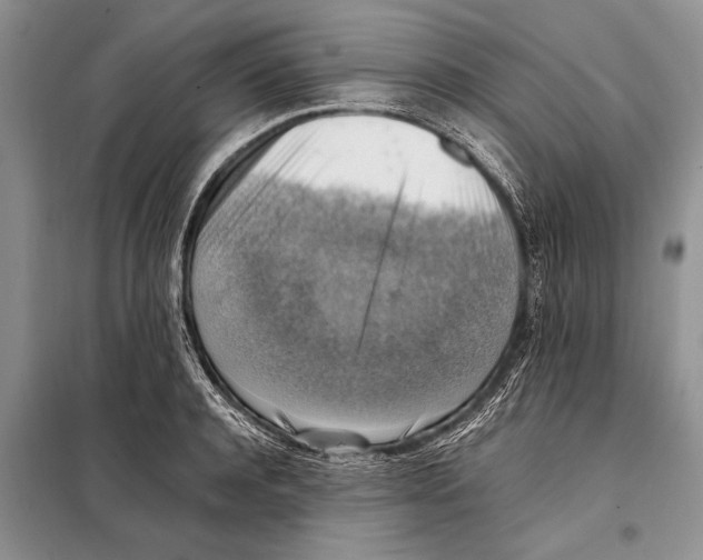 X0000097880944200804110947