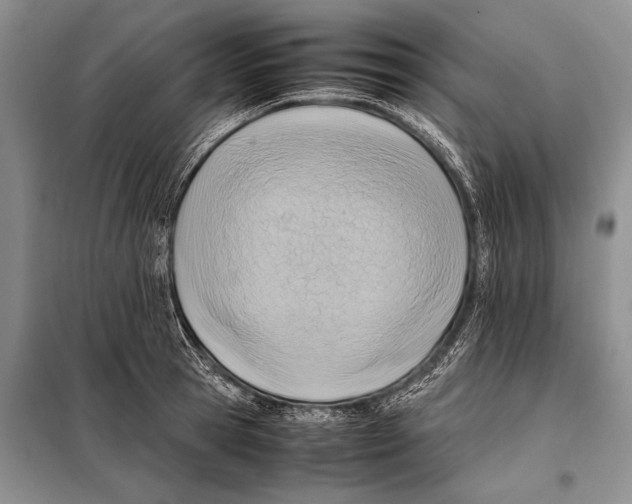 X0000097880945200804110947