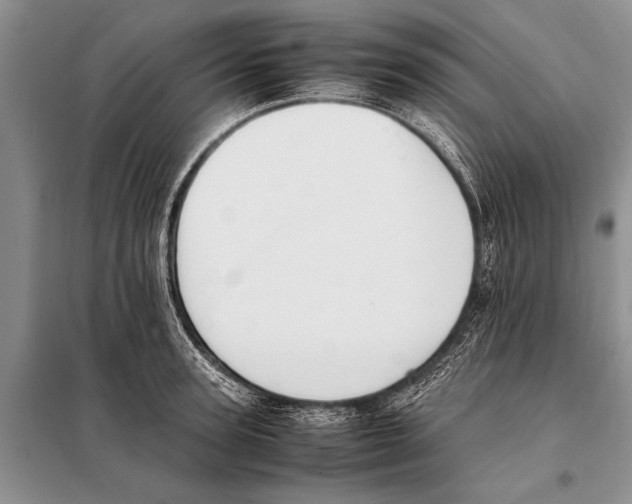 X0000097880947200804110947