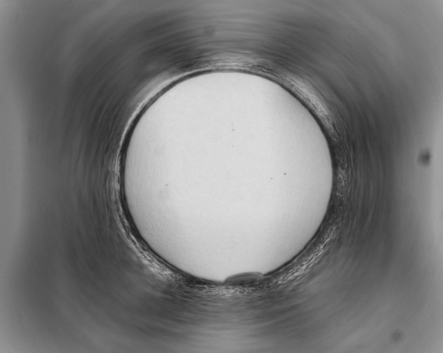 X0000097880948200804110947