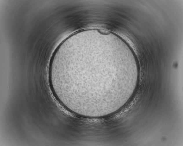 X0000097880949200804110947