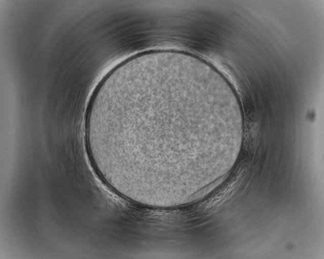 X0000097880951200804110947