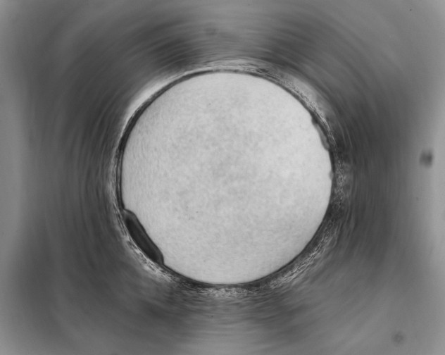 X0000097880952200804110947