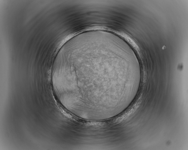 X0000097880953200804110947