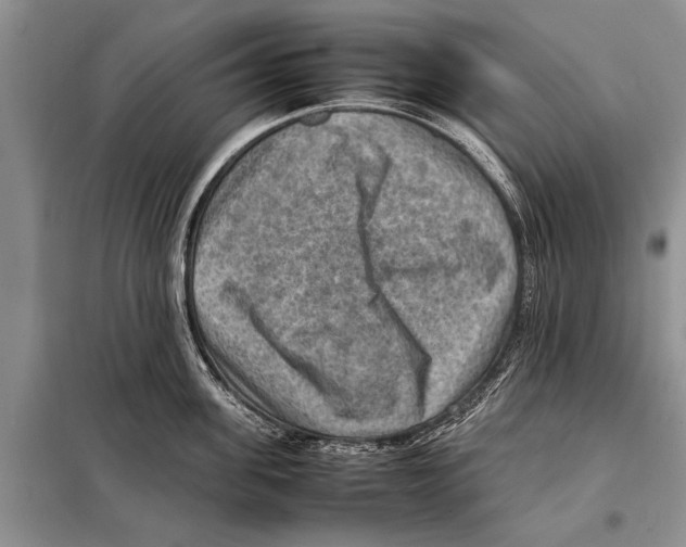 X0000097880955200804110947