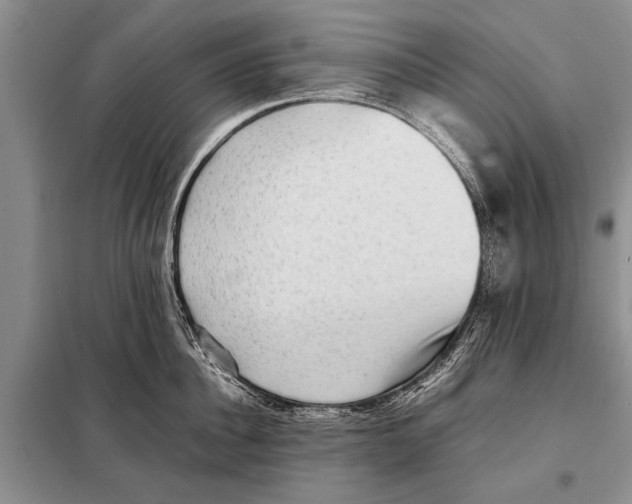 X0000097880956200804110947