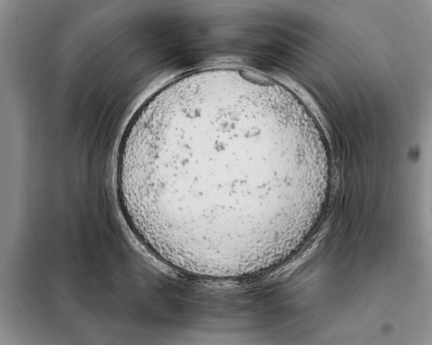 X0000097880957200804110947