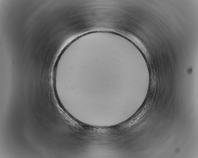 X0000097880958200804110947