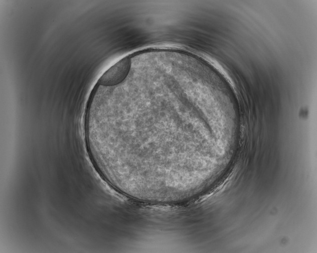 X0000097880959200804110947